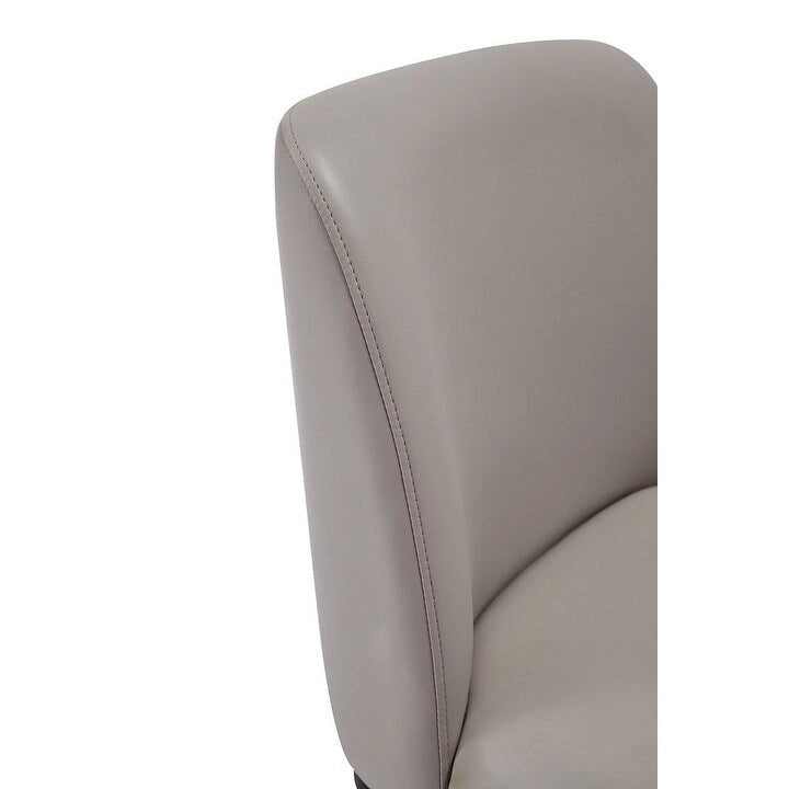 Faux Leather Dining Chair (Set of 2)
